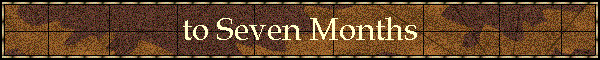 to Seven Months