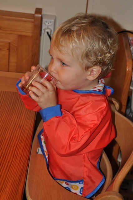 DSC_8550.JPG (137181 Byte)