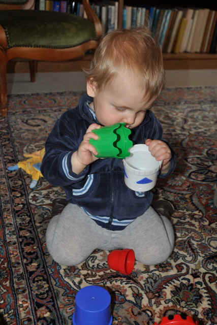 DSC_1734.JPG (161855 Byte)
