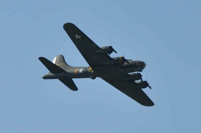 DSC_7207.JPG (121356 Byte)