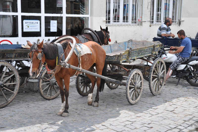 DSC_2765.JPG (209124 Byte)