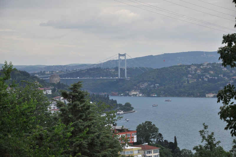 DSC_0659.JPG (224872 Byte)