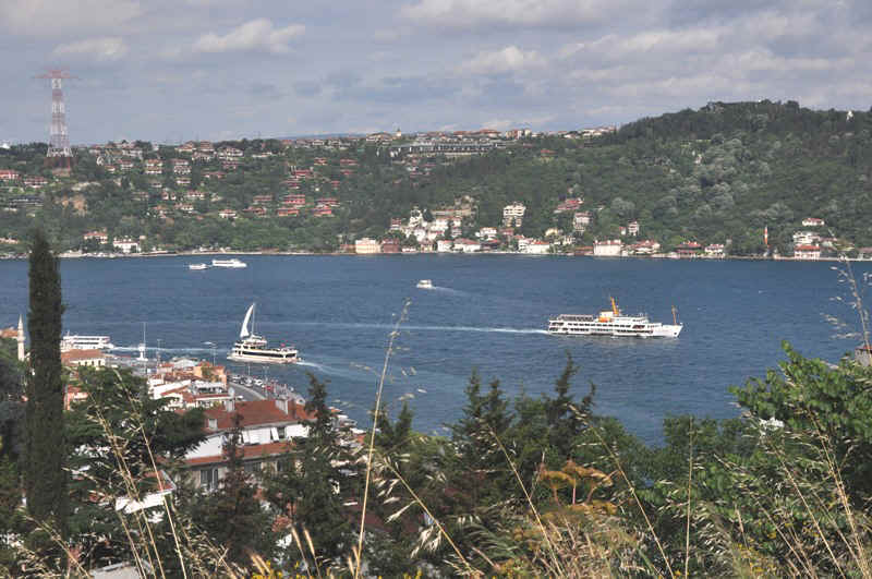 DSC_0714.JPG (192857 Byte)