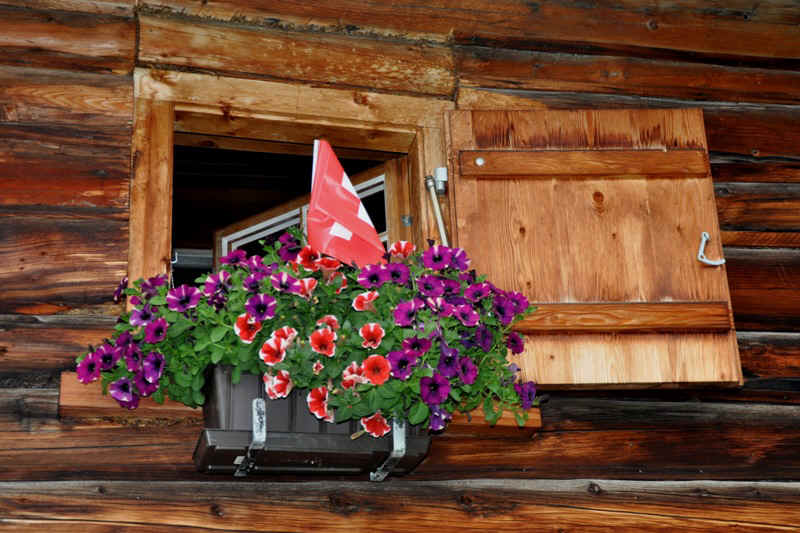 DSC_4077.JPG (197329 Byte)