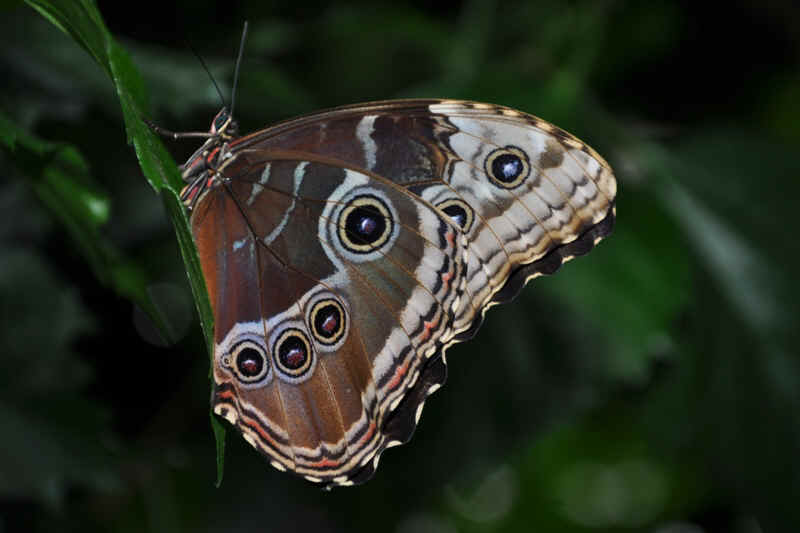 DSC_4309.JPG (185122 Byte)