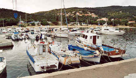 ppollo.jpg (86957 bytes)
