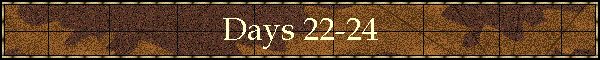 Days 22-24